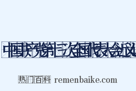 中国共产党第十三次全国代表大会近义词是什么意思的图片